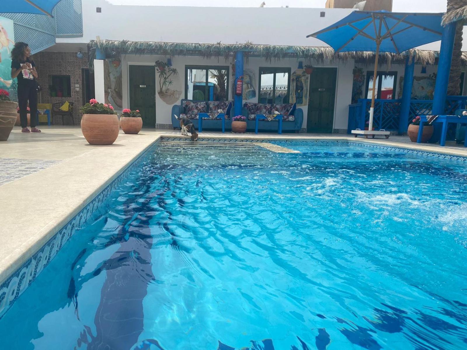 فندق Chillax دهب المظهر الخارجي الصورة